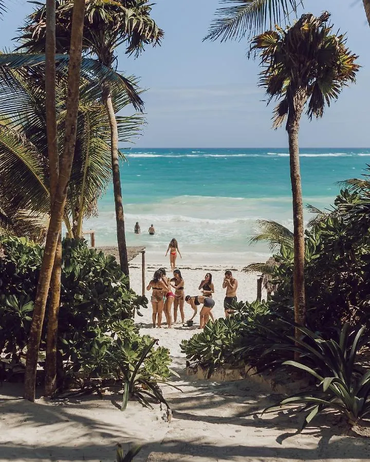 Hotel Nest Tulum
