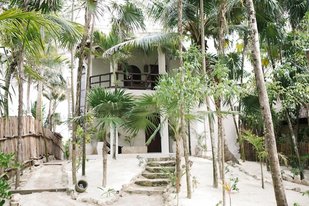 Hotel Nest Tulum