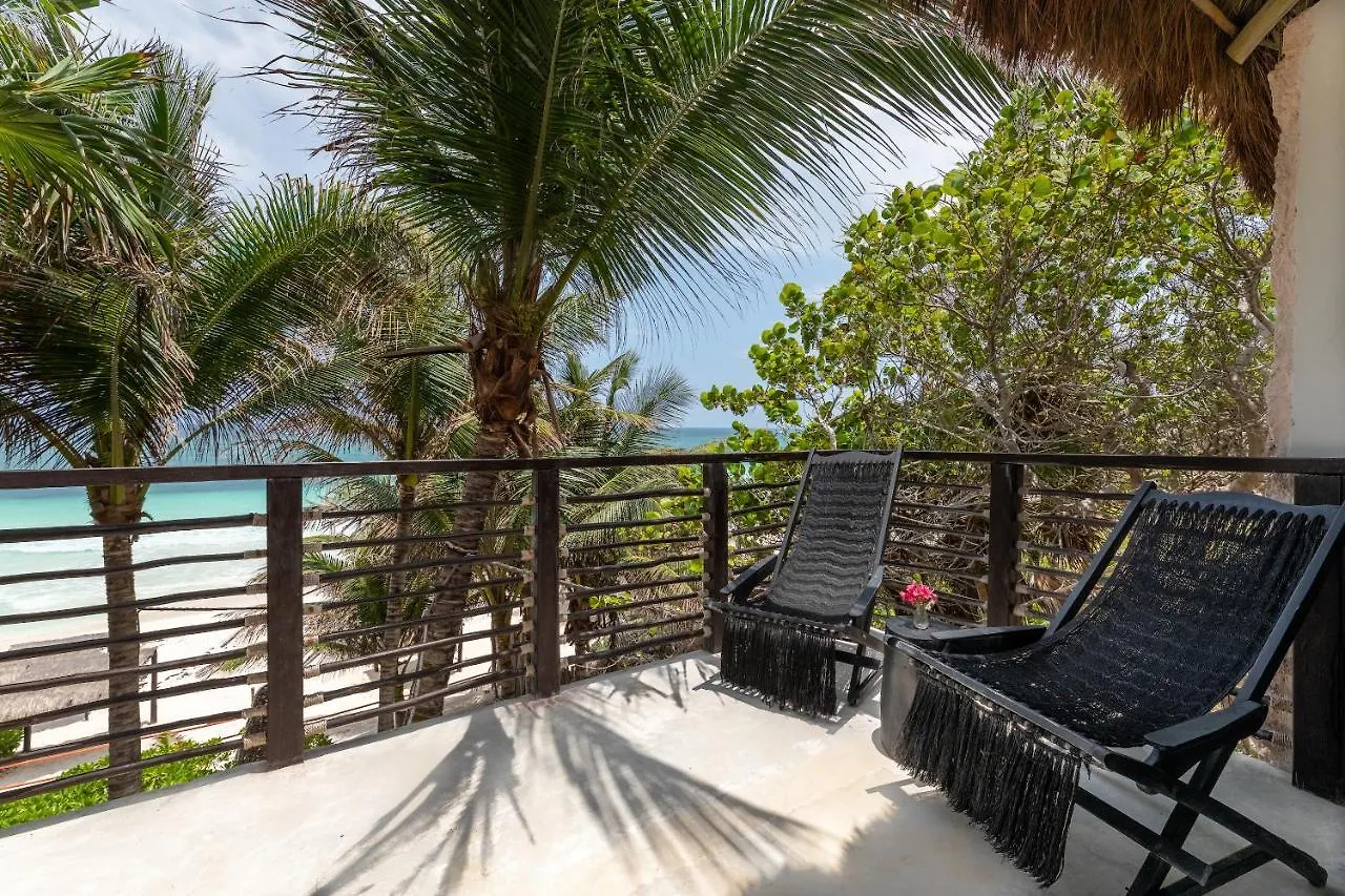 Hotel Nest Tulum 4*,