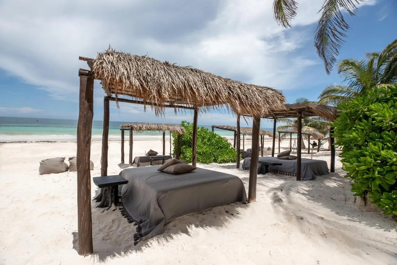 Hotel Nest Tulum