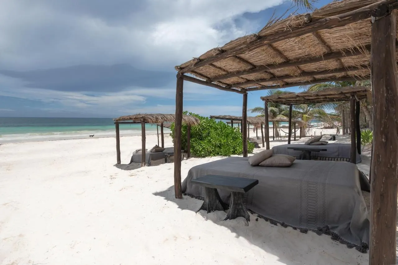 Hotel Nest Tulum Mexique