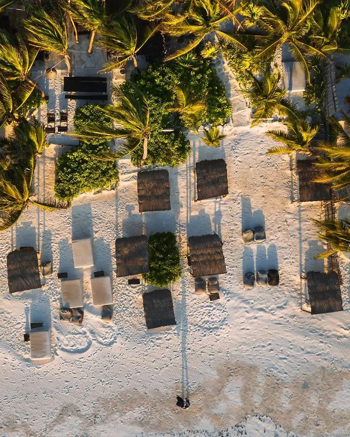 Hotel Nest Tulum