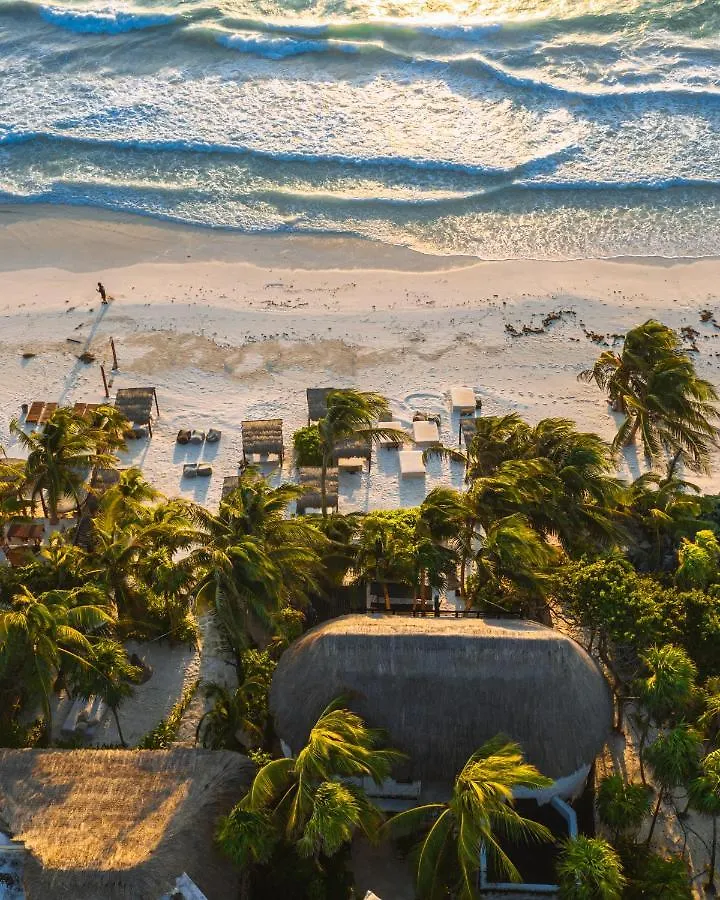 Hotel Nest Tulum