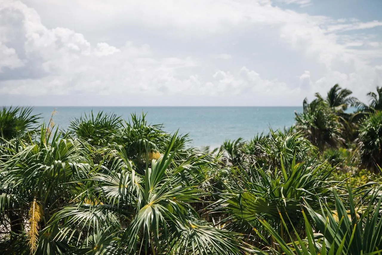 Hotel Nest Tulum