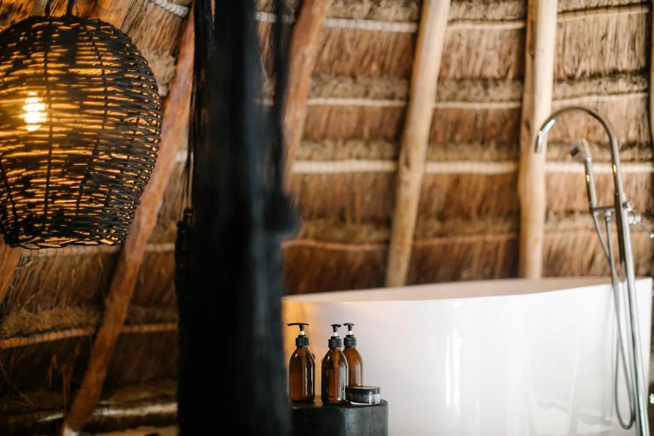 Hotel Nest Tulum 4*,